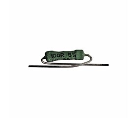Resistor 100R 1W 5% Axial Verde 1