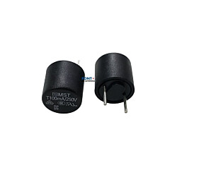 Fusível 100mA 250V Micro Fusível MST T100mA/250V 0034.6605 Schurter