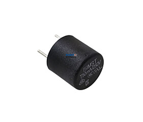 Fusível 50MA 250V Micro Fusível 0034.6602 Schurter